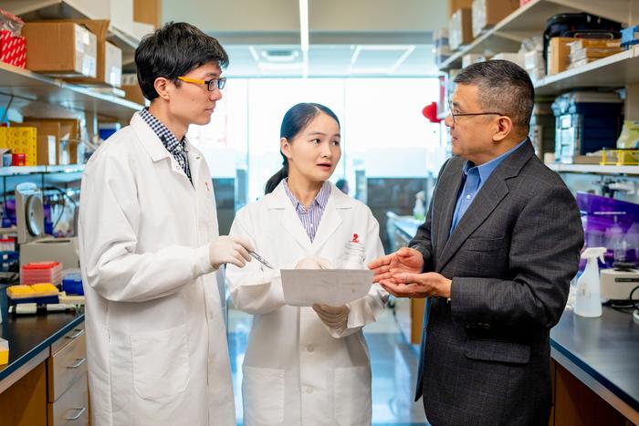 Scientists found that the gene drives T-cell exhaustion, revealing a new strategy to improve anti-tumor and anti-viral immune responses.