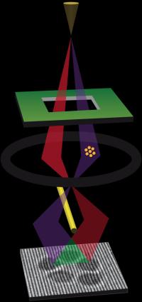 How Electron Holography Works