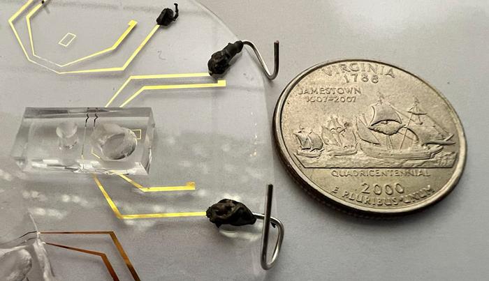 Microfluidic device