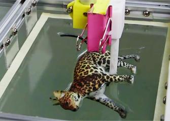 New method -- computational hydrographic printing -- offers a precision never before attained