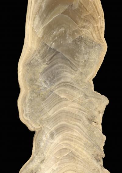 Stalagmite Close-up