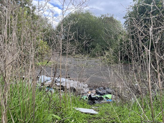 Potential site for the Birmingham Living Lab