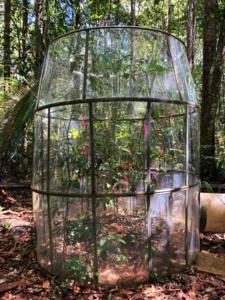 Fig. 2: Open-top chamber for the Experiment in the Central Amazon.