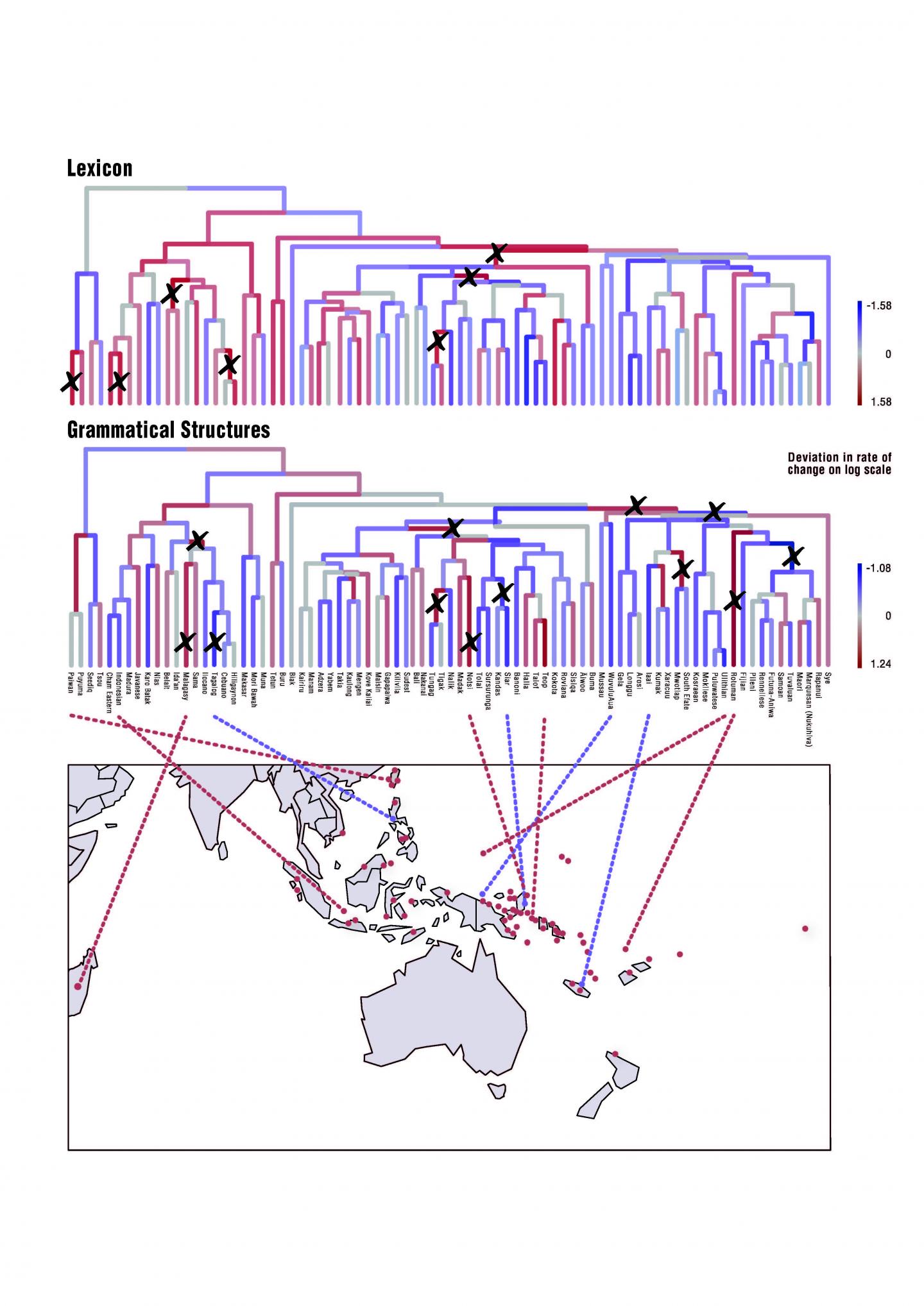 Language Map