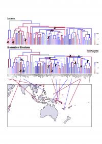 Language Map