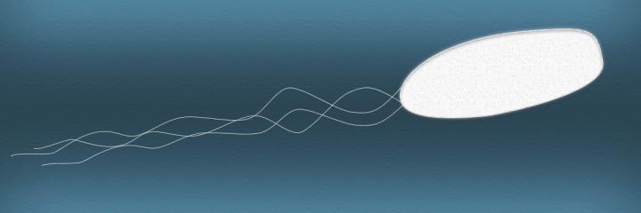Artistic Depiction of a Three Flagella Bacterium