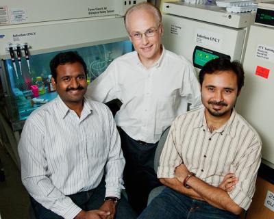 Steven Blanke, Prashant Jain and Tamilselvam Batcha, University of Illinois at Urbana-Champaign