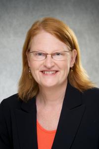 Kathleen Sluka, PT, PhD, FAPTA University of Iowa Professor of Physical Therapy and Rehabilitation Science