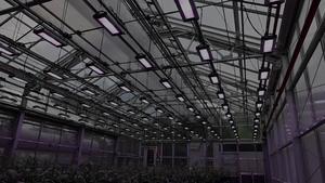 Not Your Average Greenhouse