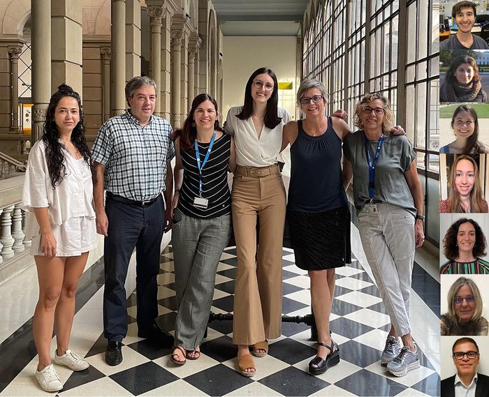 Un estudio de la Universidad de Barcelona perfila nuevas estrategias para combatir las enfermedades neurodegenerativas