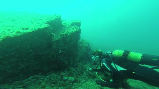 Collecting Sponge Samples