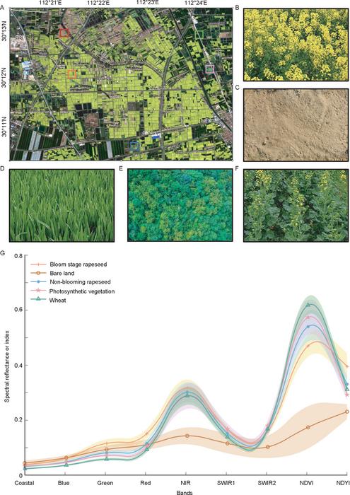 Fig. 1 Comparison of rapeseed with other typical underlying surface features at different flowering levels.