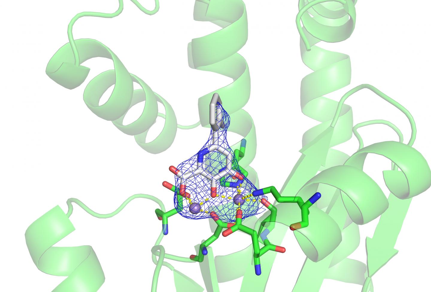 Progress toward a New Flu Treatment, Thanks to a Small Tweak