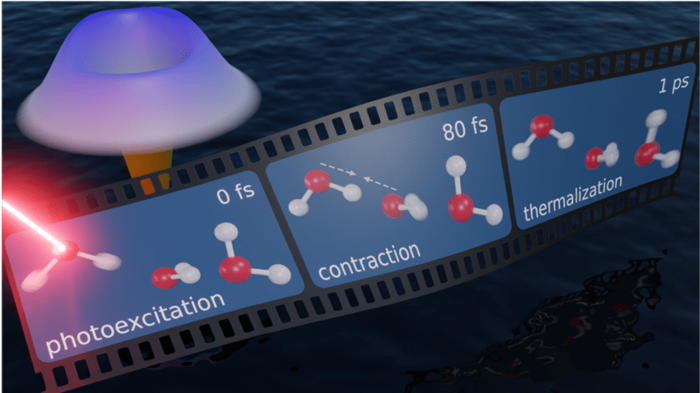 Scientists Capture a ‘Quantum Tug’ Between Neighboring Water Molecules