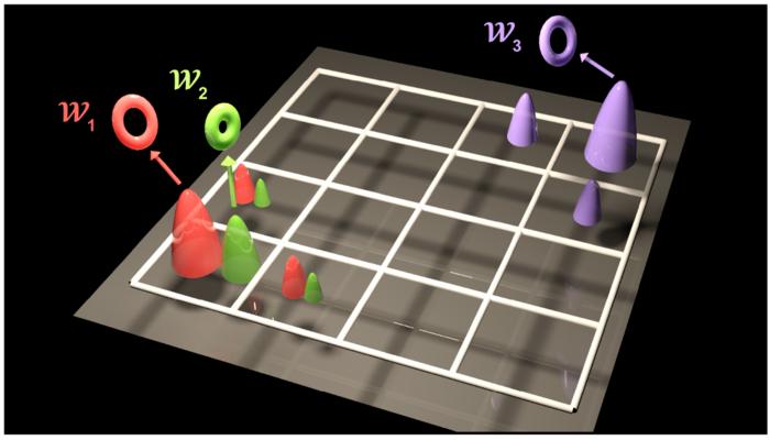 Figure | Schematic illustration of the multi-topological phase (MTP) and its associated bulk-boundary correspondence.