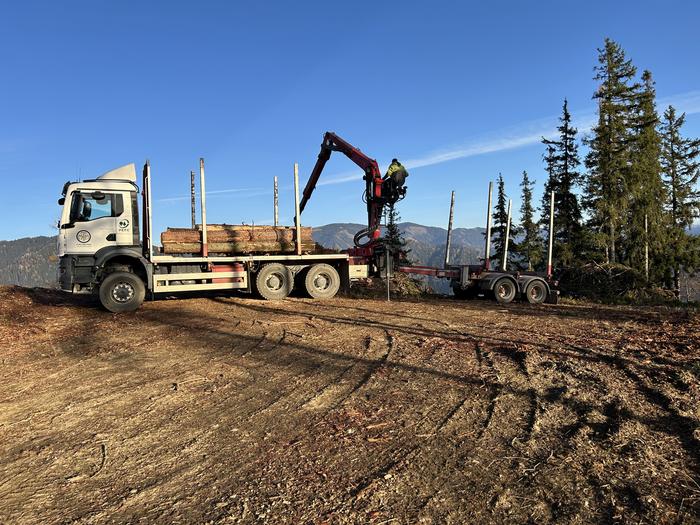 Loading logs onto trucks is set to become safer
