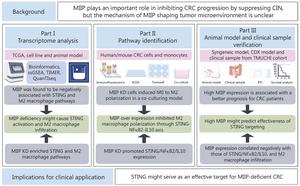 Flow chart of the study.