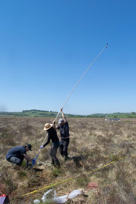 University of Bristol researchers extracting long peat cores from Cors Caron Bog, near Tregaron