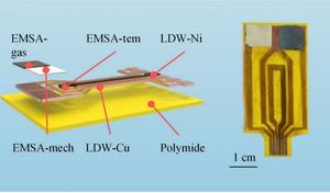 Figure 3. Exploded view of EMSA.