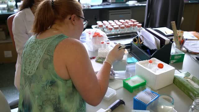 Overview of the UTIA Center for Agricultural Synthetic Biology