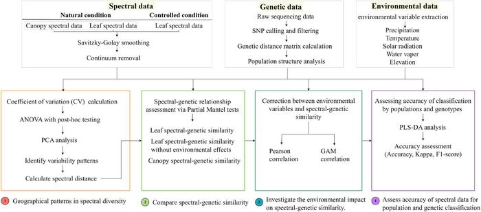 Framework of the study. Approaches towards linking spectral reflectance to genetic diversity.