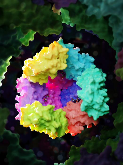 The mini-bacterioferritin