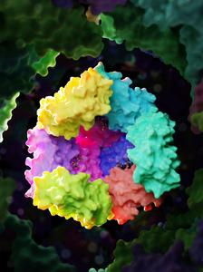 The mini-bacterioferritin