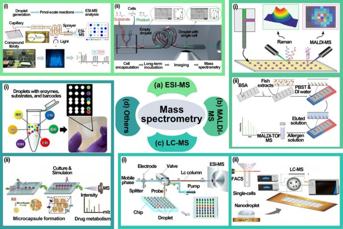 Fig. 4. Mass spectrometry