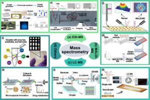 Fig. 4. Mass spectrometry