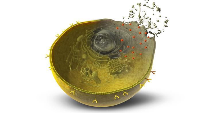 Specially designed protein structures