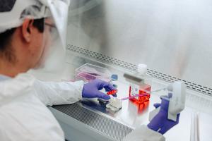 UTHSC Brain on a Chip Research