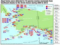Marine Mammal Exposure to Algal Toxins