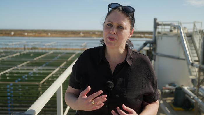 Dr Dorit Avni, Migal Research Insitute