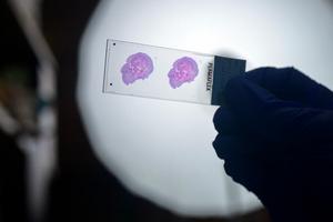 MSK Research