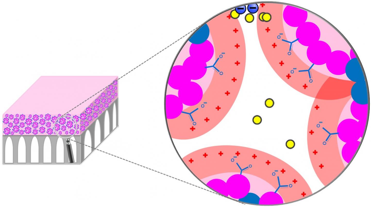 Membrane Structure