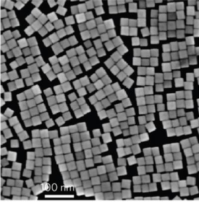 SEM of Palladium Nanocubes