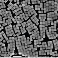 SEM of Palladium Nanocubes