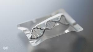 Packed DNA