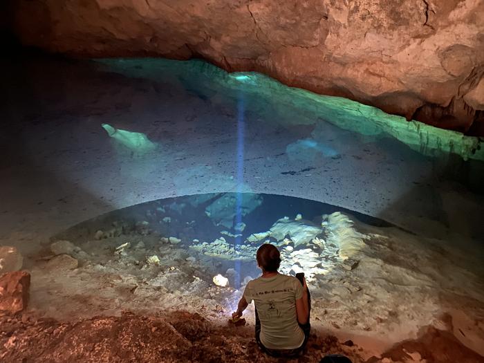 The cenotes where Typhlatya shrimps occur.