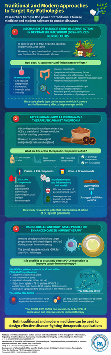 Key Traditional and Modern Medicine Modalities against Diseases