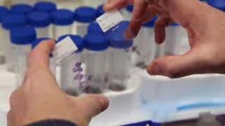 Diabetes Drug Could Hold Promise for Lung Cancer Patients