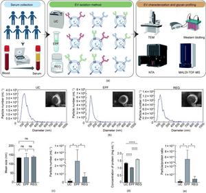 Characterization of EV separated by distinct methods.