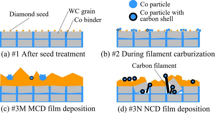 Non-uniform formation mechanism revealed