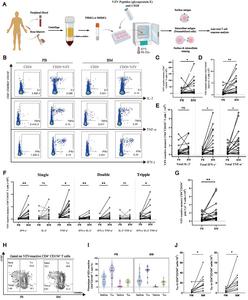 Bone marrow is a reservoir of functionally potent VZV-reactive memory CD4⁺ T cells