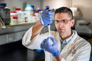 AI-assisted approach identifies IRS4 as a promising drug target in multiple solid tumors