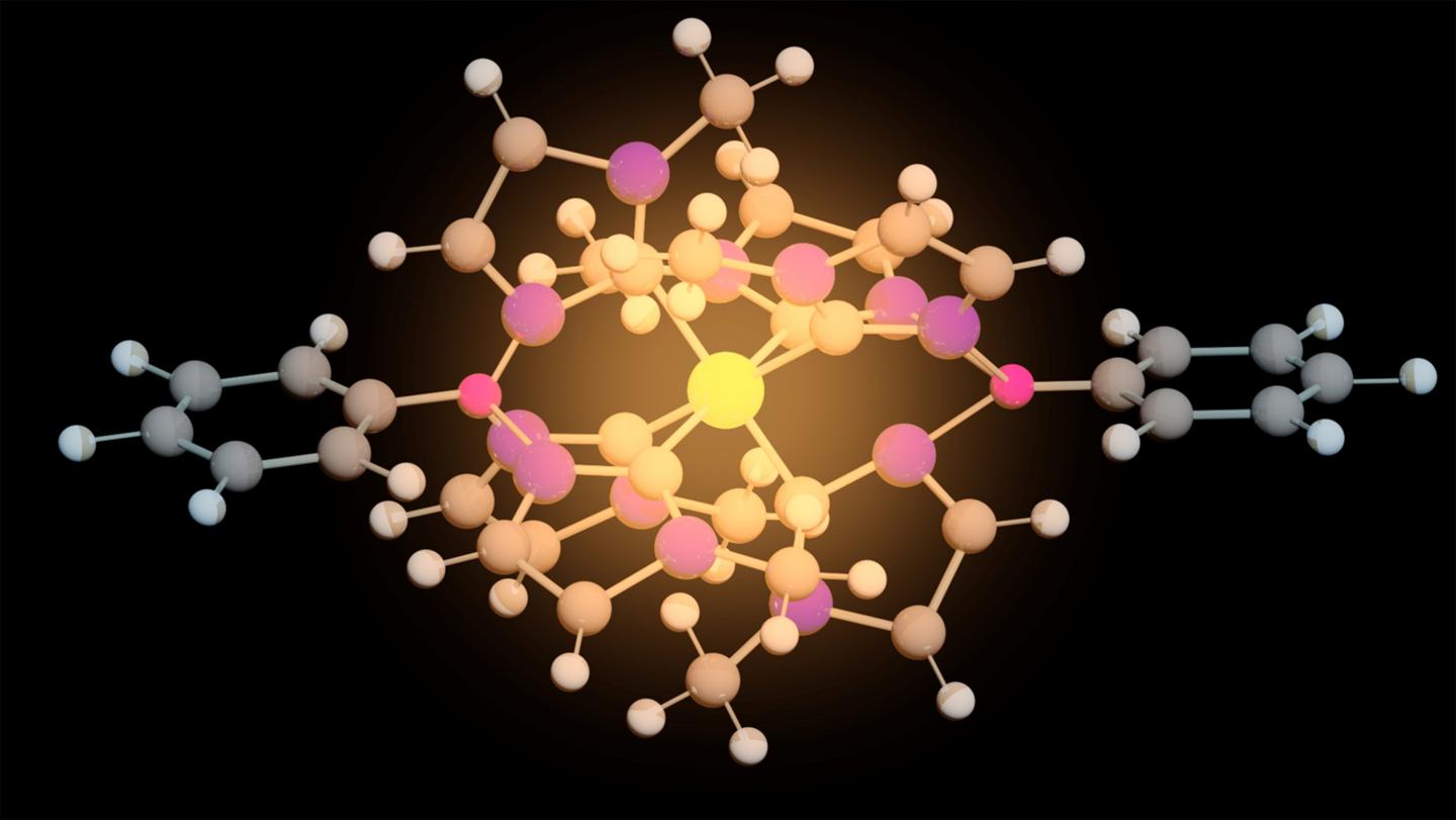 The New Molecule