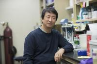 New Contributor to Age-Related Hearing Loss Identified (2 of 3)
