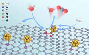 The schematic illustration of the HOR and anti-CO poisoning mechanism for Pt/W@NCNF is presented.