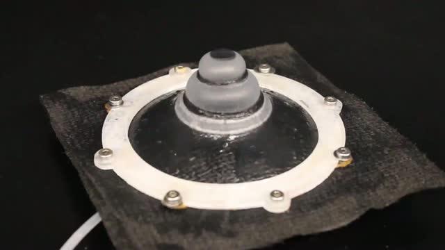 Material Mimics 3-D Camouflage Abilities of an Octopus