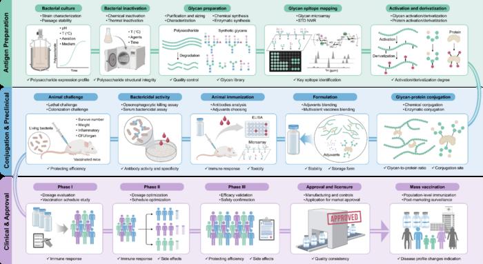 Roadmap of carbohydrate-based vaccine engineering